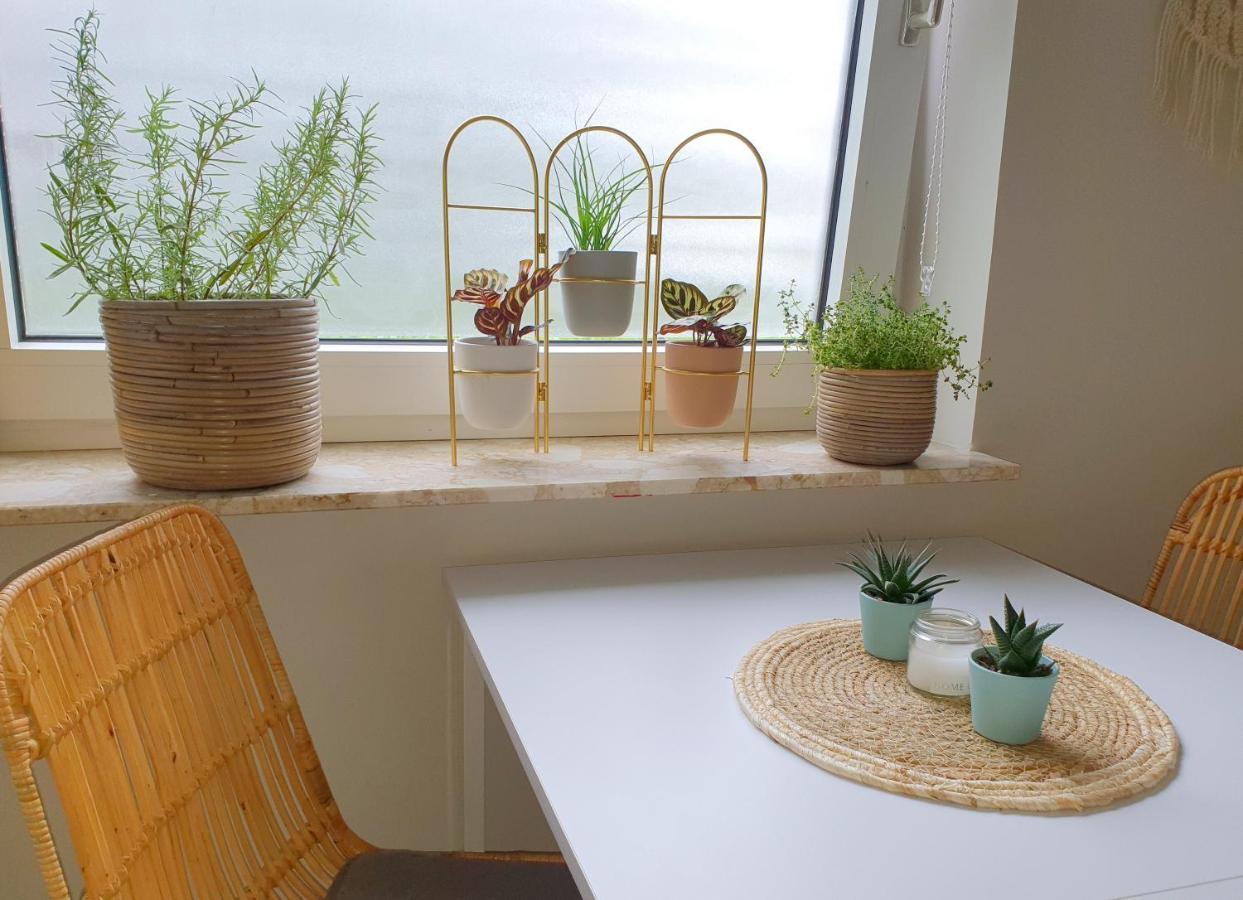 Boho Apartment โอลเดนบวร์ก ภายนอก รูปภาพ